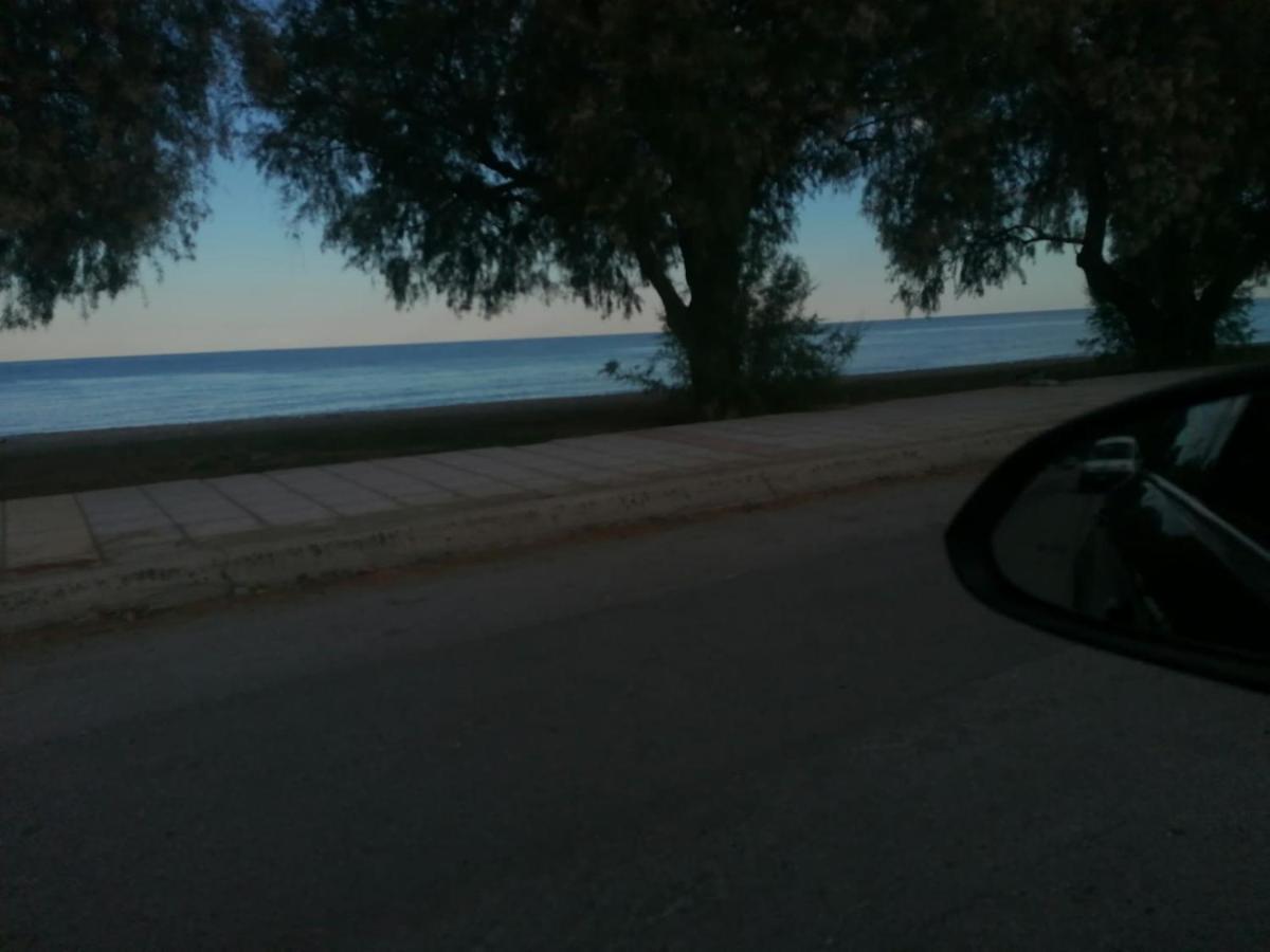 לפטוקריה Ntinasvillage מראה חיצוני תמונה